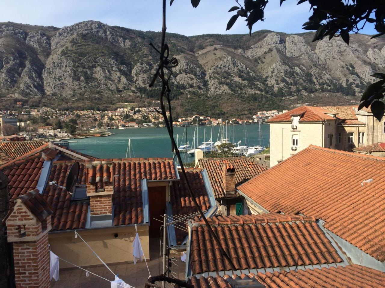 Апартаменти Chic & Stylish With Seaview-Terrace - Kotor Indah Екстер'єр фото